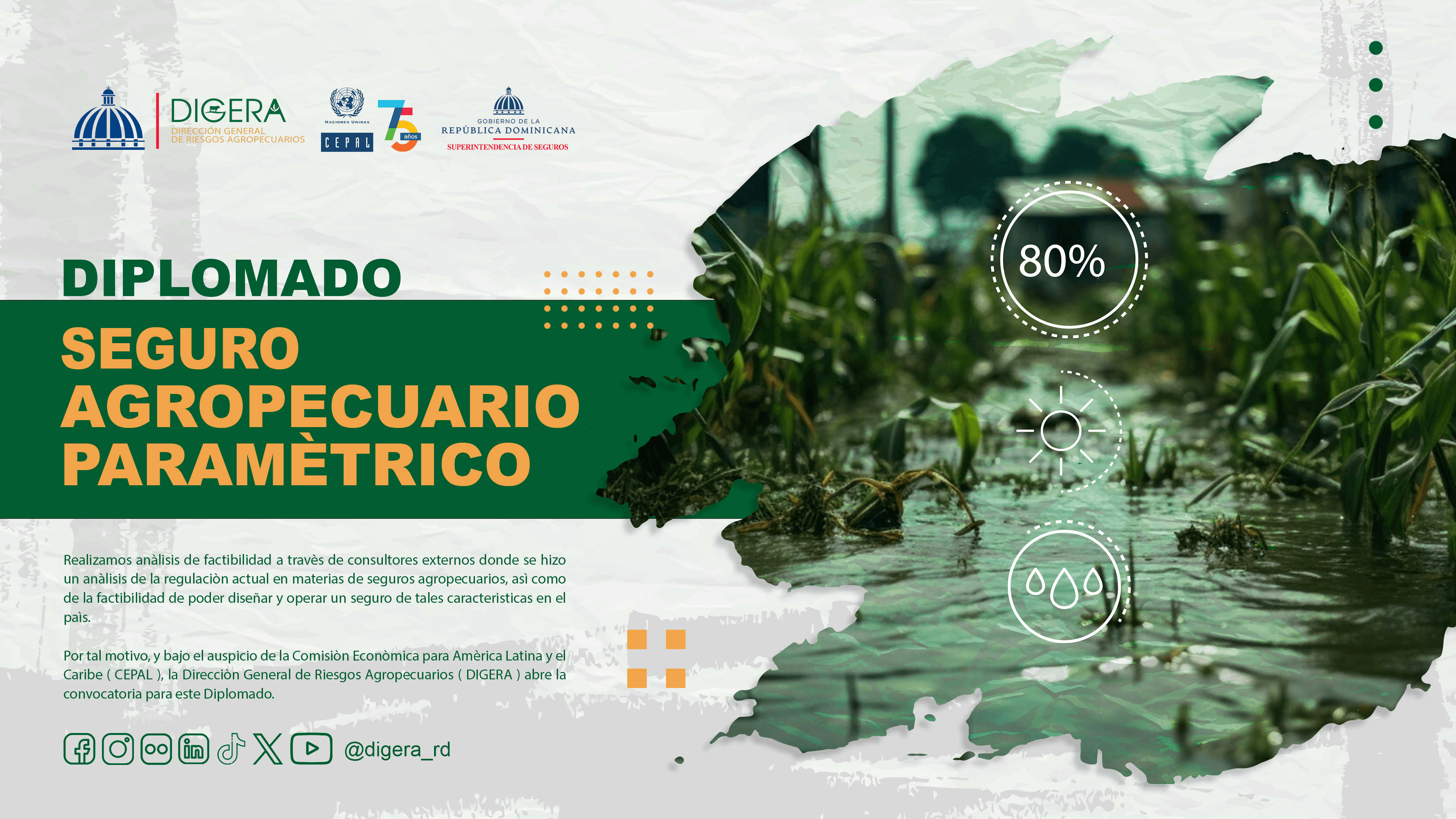 Carta de categoria